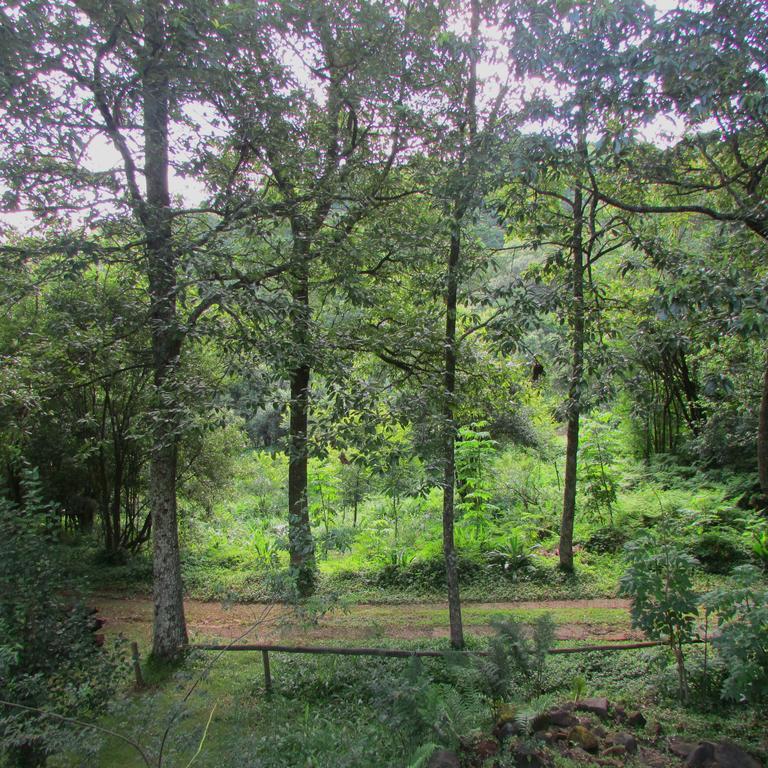 Old Pine Cabin Karkloof Karkloof Nature Reserve Luaran gambar